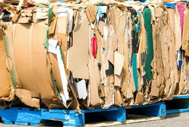 Waste Cardboard